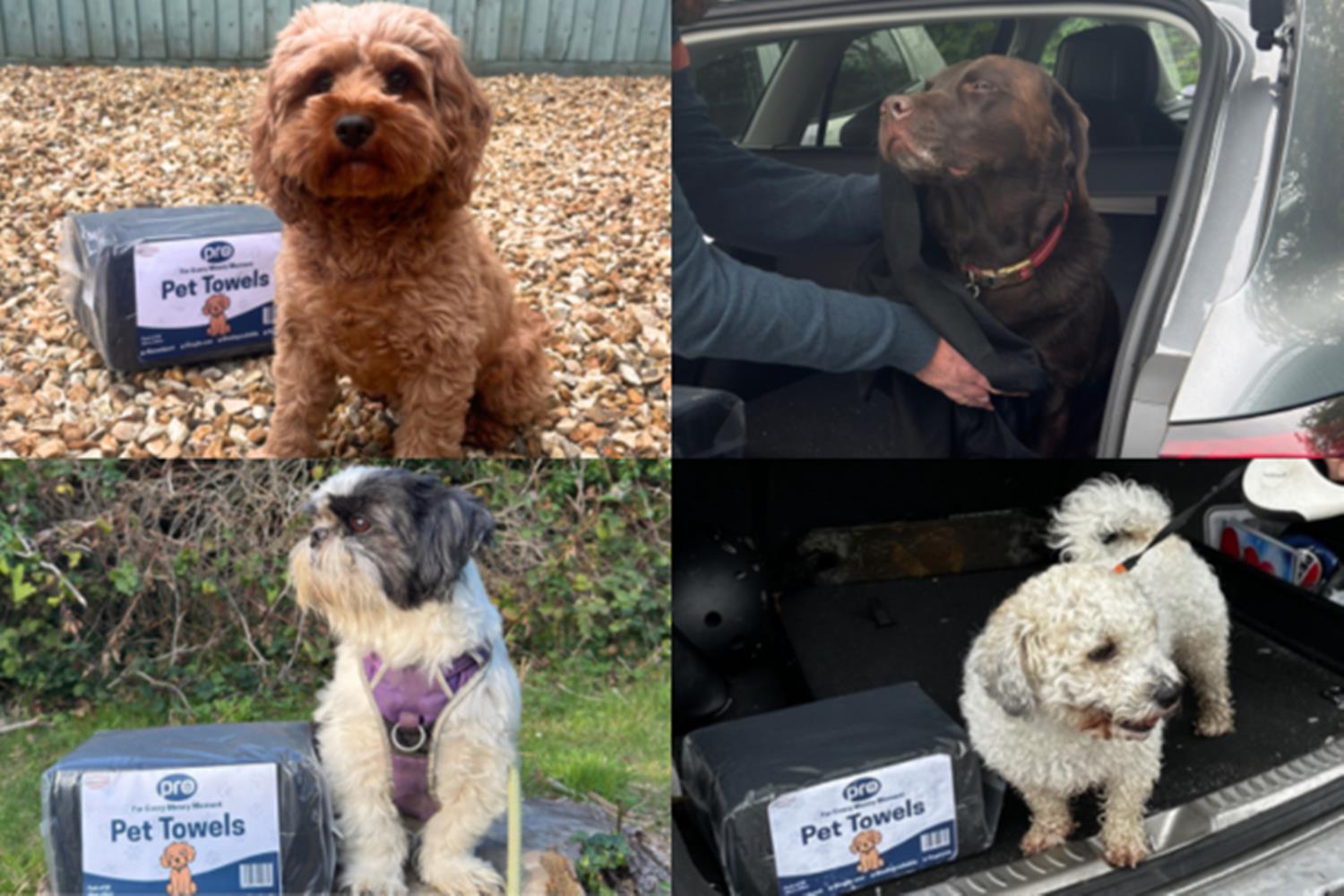 Why is Hygiene Depot expanding into Pet Care? 