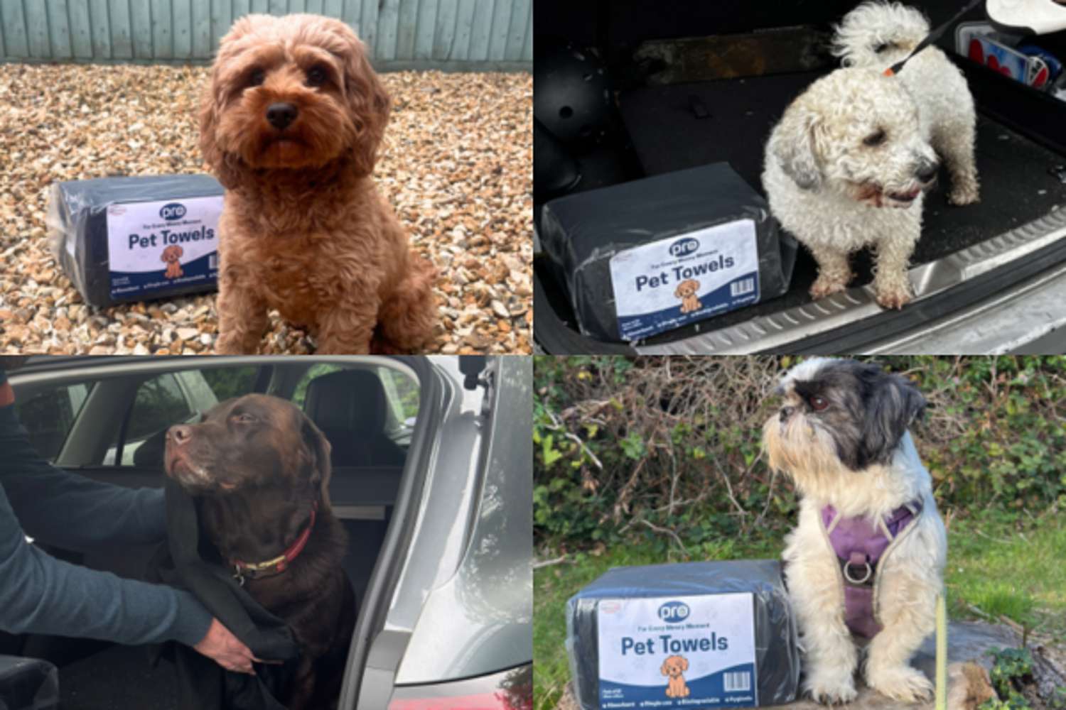 Why is Hygiene Depot is expanding into Pet Care? 