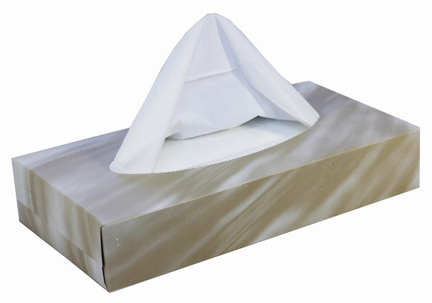Mansize Tissues C-Fold 100 Sheet